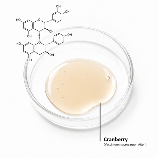Cranberry Extrakt für die Haut: Antioxidativer Schutz gegen erste Zeichen der Hautalterung